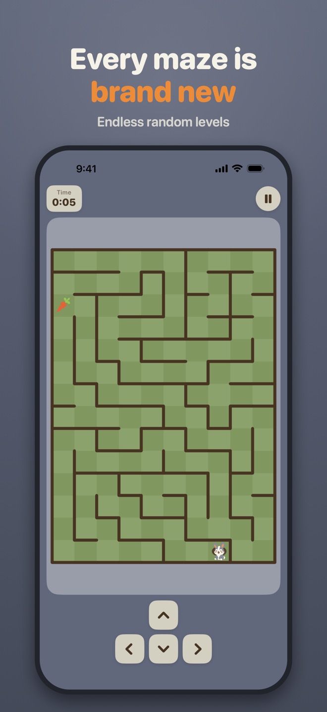 Every maze is brand new. Endless random levels.